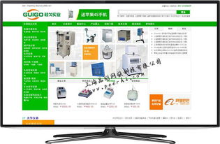 專業閔行網站建設與設計 一站式網絡解決方案