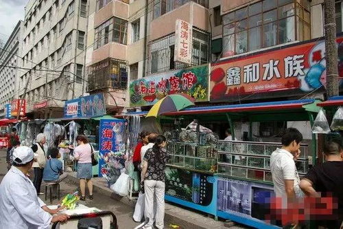 哈爾濱購物省錢攻略 21條日用雜品最便宜的街巷盤點